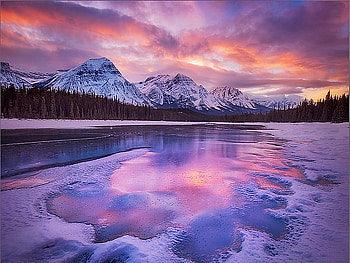 First touch of winter, cloudy, pink and blue, lake ice, trees, sky, mountains, reflections HD wallpaper