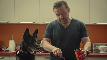 Life After Life series, Ricky Gervais interview, Post-Golden Globes, The New York Times HD wallpaper