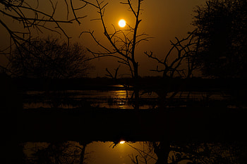 Water, Trees, Sunset, Twilight, Dark, Dusk HD wallpaper