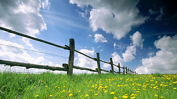 Landscape, Fields HD wallpaper