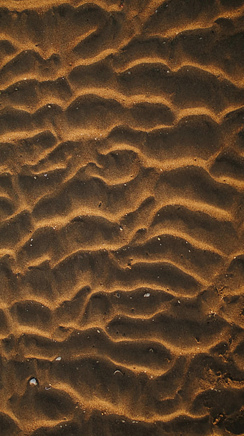 Sand, Desert, Shells, Macro, Wavy HD phone wallpaper