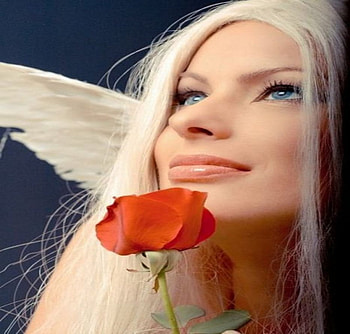 ANGEL, rose, beautiful, sensual HD wallpaper