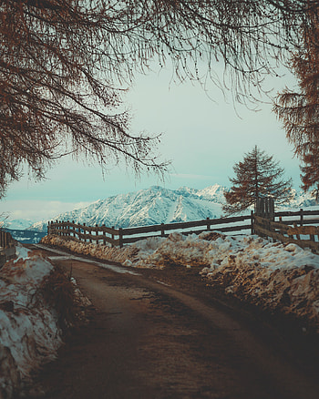 Nature, Mountains, Snow, Road, Branches, Branch, Fence HD phone wallpaper