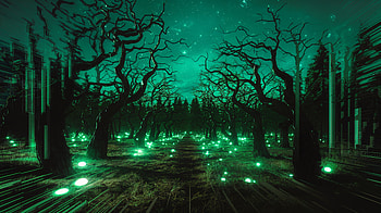 Spooky Forest: A Ultra Adventure, forest, glow, tree, night HD wallpaper