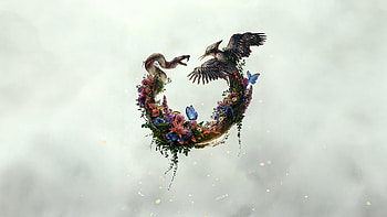 The Hunger Games Sunrise On The Reaping Movie, the-hunger-games-sunrise-on-the-reaping, movies, 2025-movies, the-hunger-games HD wallpaper