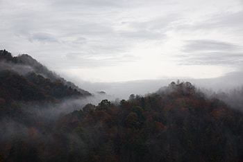 Nature, Trees, Sky, Mountains, Fog HD wallpaper