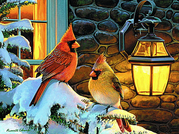 Staying warm, winter, holiday, bird, light, snow, christmas, cardinal HD wallpaper
