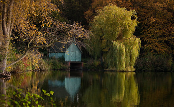 boat house, trees, nature, lake HD wallpaper
