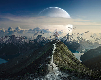 The Moon Tree, moon, tree, artist, artwork, digital-art, deviantart HD wallpaper