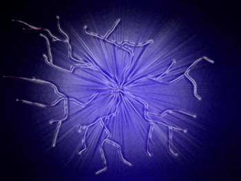 storm plastic, 3d and cg, blue, purple, abstract HD wallpaper