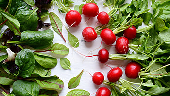 Radish , Food HD wallpaper
