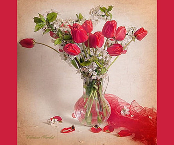 Reds, petals, green, red, vase, tuluips HD wallpaper