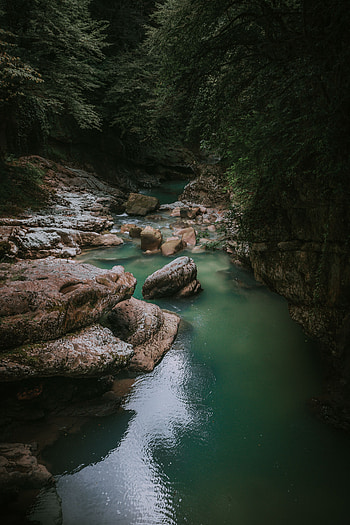 Nature, Rivers, Trees, Stones, Shadows HD phone wallpaper