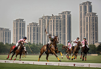 Tianjin Goldin Metropolitan Polo Club, Horse Polo HD wallpaper
