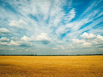 Farm field nature, , Rural splendor, Bucolic charm HD wallpaper