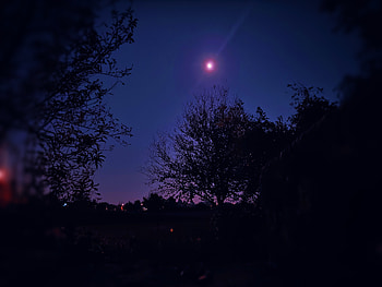 notte viola, cielo HD wallpaper