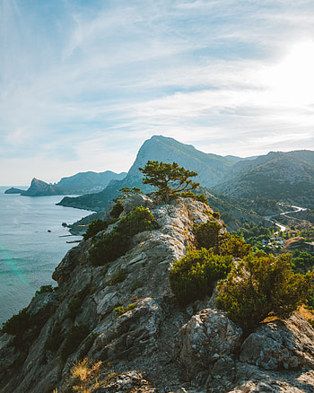 Nature, Sky, Sea, Rocks, Wood, Tree, Precipice, Break HD phone wallpaper