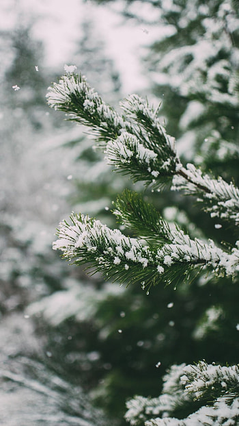 Winter Aesthetic, Snow Aesthetic HD phone wallpaper