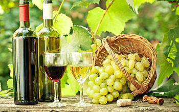 Objects, Vine HD wallpaper