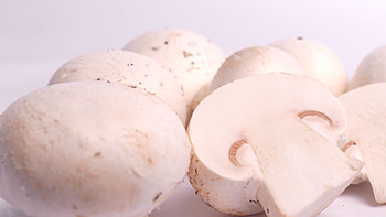 Champignons, wei pilz lenz wolfurt, Food HD wallpaper
