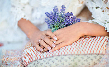 Lavender, hands, girl, beauty, woman, lady, nature, flowers, splendor HD wallpaper