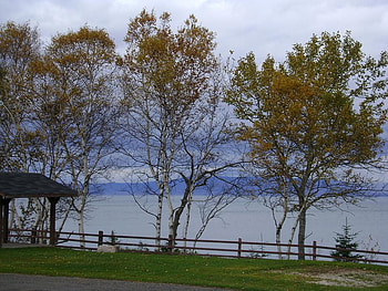 Autumn, blue, river, yellow, trees, water HD wallpaper