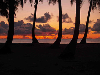 Good Bye Day, sea, nature, day, sunset HD wallpaper