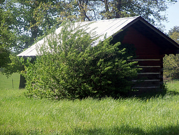 Abandoned Smoke House, Tennessee, Architecture, Other, Rural, Smoke House HD wallpaper