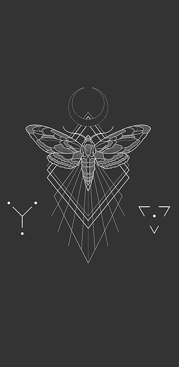 Butterfly Dark, polilla, mariposa HD phone wallpaper