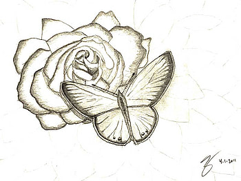 Eastern Blue On Rose, rose, butterfly, art, flower HD wallpaper