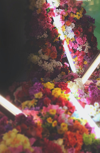 Flowers, Shine, Light, Bouquet, Neon HD phone wallpaper
