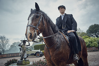 Peaky Blinders, Thomas Shelby, Tv Show, Cillian Murphy HD wallpaper