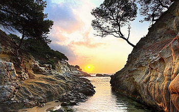 Seashore, plants, trees, between mountains, brillant, sunset HD wallpaper