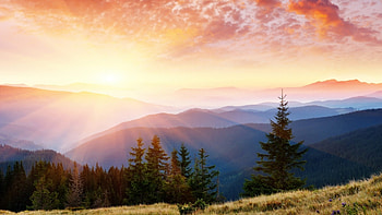 Sunrise Mountain Mist, mist, dawn, morning, trees, sky, mountains, sunset, sunrise HD wallpaper