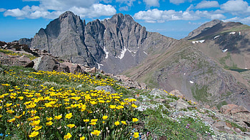 Sangre de Cristos Crestone Peak and Wildflowers, Colorado, blossoms, landscape, clouds, flowers, sky, rocks, usa HD wallpaper
