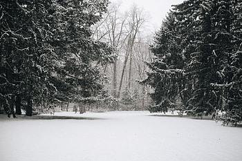 Landscape, Winter, Nature, Trees, Snow HD wallpaper