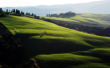 Landscape, Fields HD wallpaper