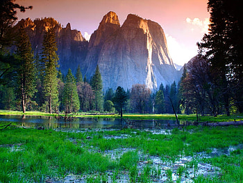 Yosemite mountain, pinetrees, sunlight, marsh land, pink sky, usa HD wallpaper
