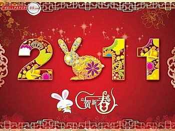 chinese newyear, happy, chinese, newyear, 2011 HD wallpaper