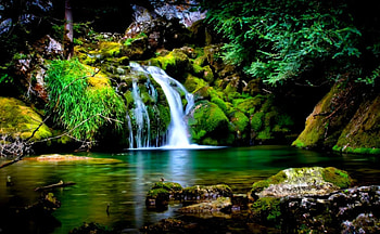 Windows, Windows 7 s, Windows 7 Nature HD wallpaper