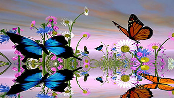 Fantastic Butterfly Screensaver http://www.screensavergift.com . HD wallpaper