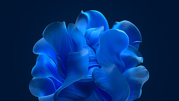 Windows Bloom - Early prototype version (Dark), Microsoft, technology, Windows 11 HD wallpaper