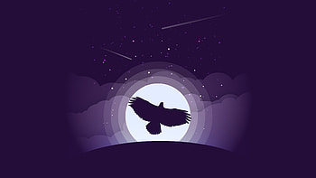 Eagle Minimalist, eagle, birds, artist, artwork, digital-art, minimalism, minimalist, behance HD wallpaper