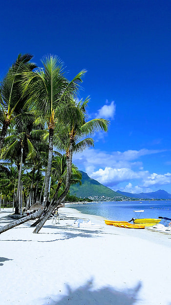 Mauritius Island, Flic en Flac beach, Tropical vibes, Popular destination HD phone wallpaper