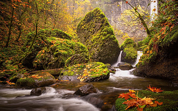 Small autumn waterfall, autumn, waterfall, forest, foliage, stones, mountain, creek, fall, beautiful, leaves, stream HD wallpaper