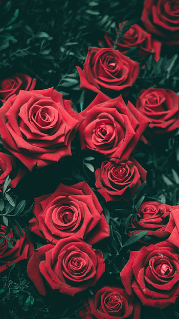 Check Abyss HD phone wallpaper
