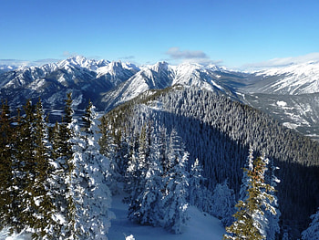 Winter at the top, winter, peaks, snow, nature, mountains, tree HD wallpaper