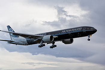 Air New Zealand Group, All Blacks Boeing 777 300er, Iconic flight, Airliner graphy HD wallpaper
