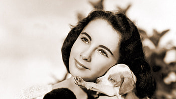 National Velvet, Elizabeth Taylor HD wallpaper