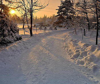 WINTER, urme, luciu, zapada, drum HD wallpaper